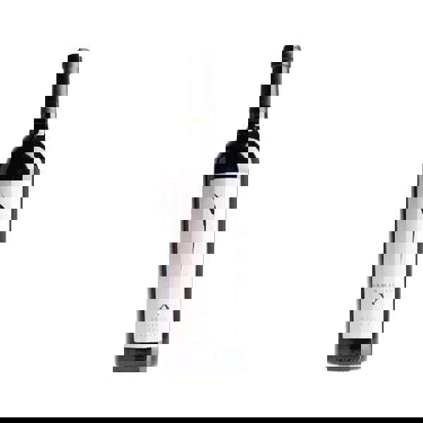 Pulenta Estate Gran Malbec (X) 2021