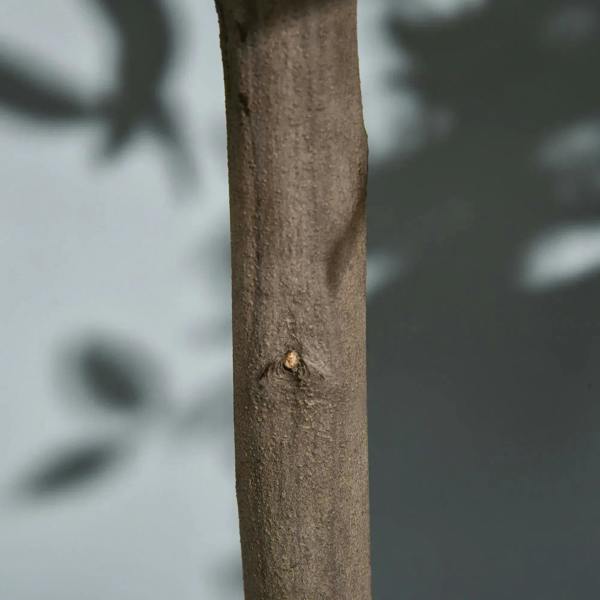 Textured brown artificial bay laurel trunk stem, no leaves visible