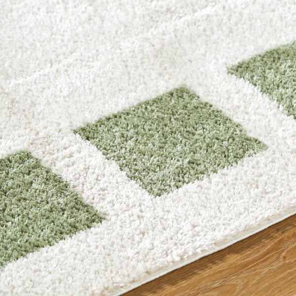 Livabliss Fossay Shaggy FSG2315 Washable Beige Green Modern High Pile Rug