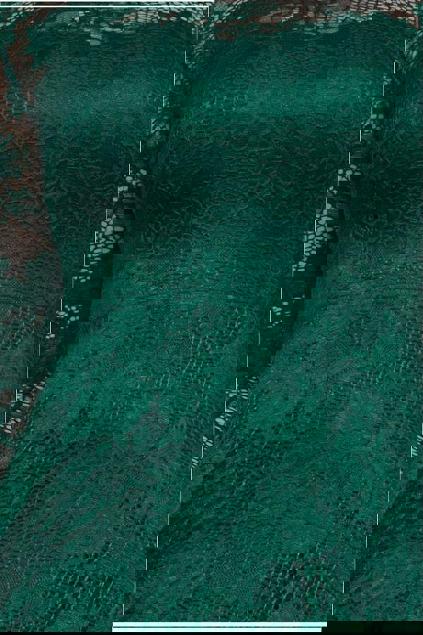 Scalloped Lace A-Line Maxi Dress - Emerald Green DR4496