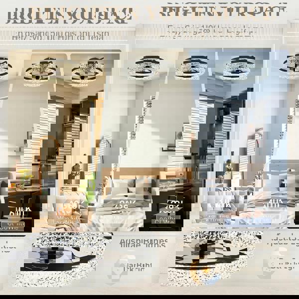 Ceiling Fan With Light