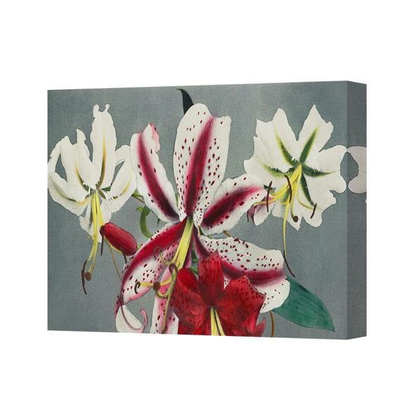 Benjamin Tate Design Vibrant Lilies Canvas Wall Art Floral Painting Canvas Print