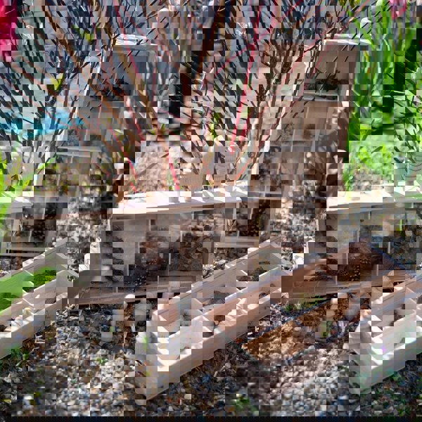 tickit Wooden Discovery Boxes