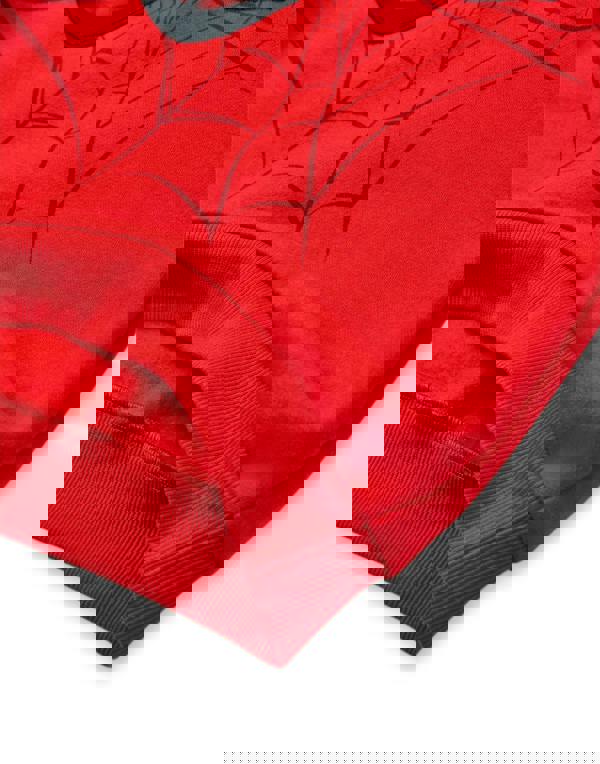 Marvel Boys Red Spiderman Sweatshirt