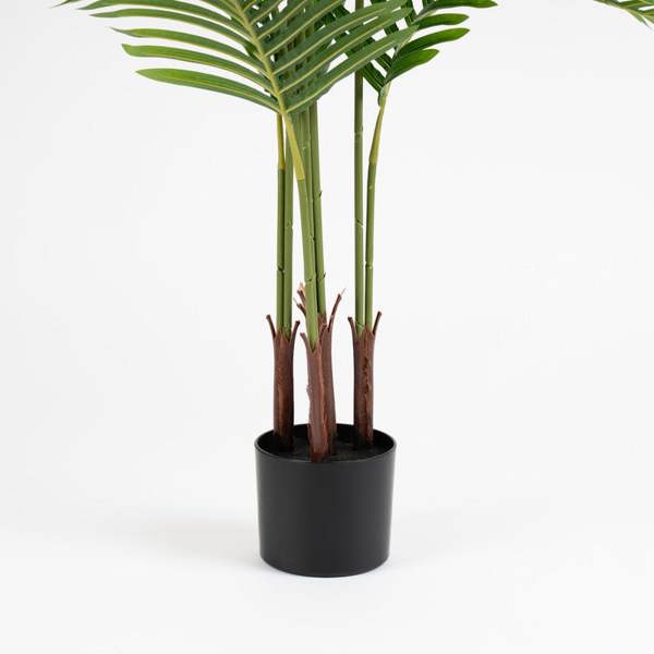 Scottish Everlastings 120cm Palm Tree in Pot KD