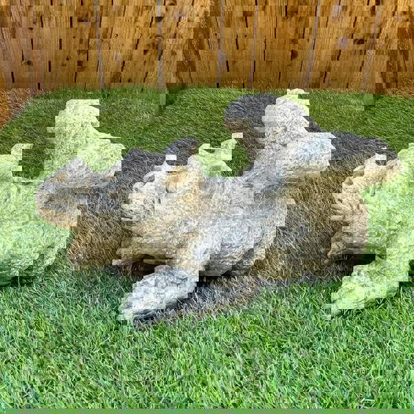 Enchanting  Dreaming Dragon Stone Cast Statue Small Outdoor Ornament Garden Sculpture