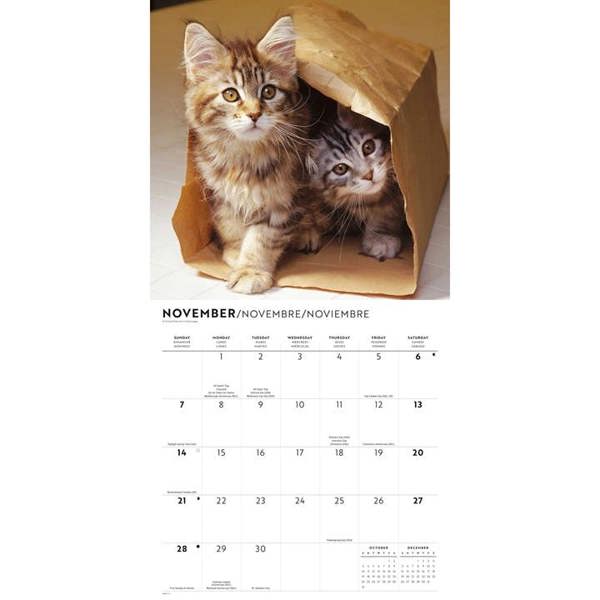 Cute Kittens Calendar 2027, Wall Calendars, Month To View, Cats, Gift