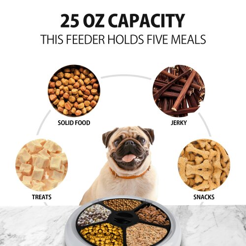 Lentek 5 Meal Automatic Pet Feeder Timed Food Dispenser with Voice Recorder for Cats & Dogs