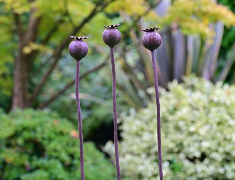 rusty metal flower garden ornament stakes