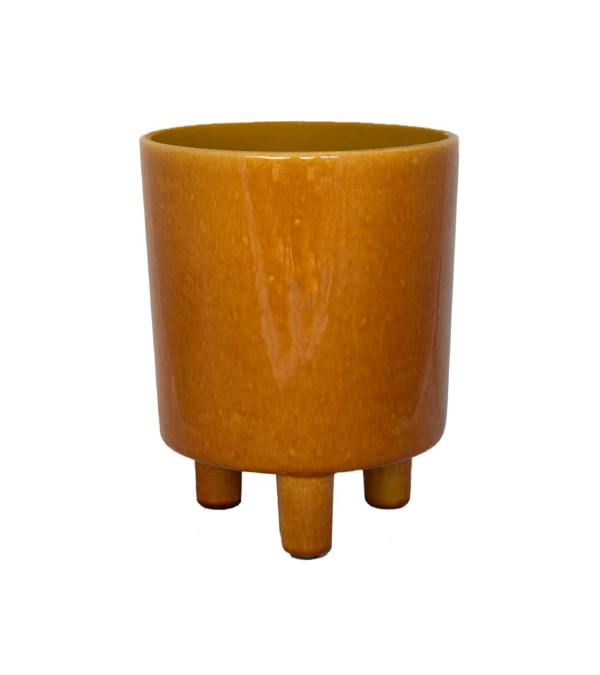 #color_mustard