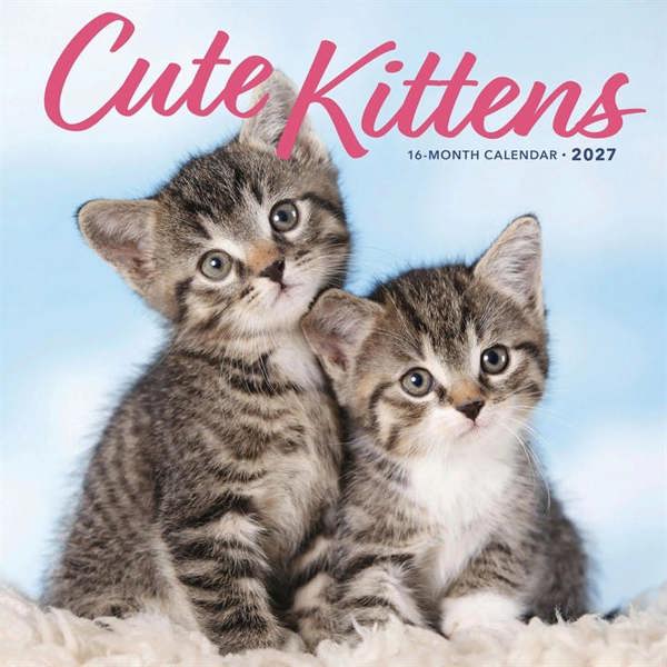 Cute Kittens Calendar 2027, Wall Calendars, Month To View, Cats, Gift