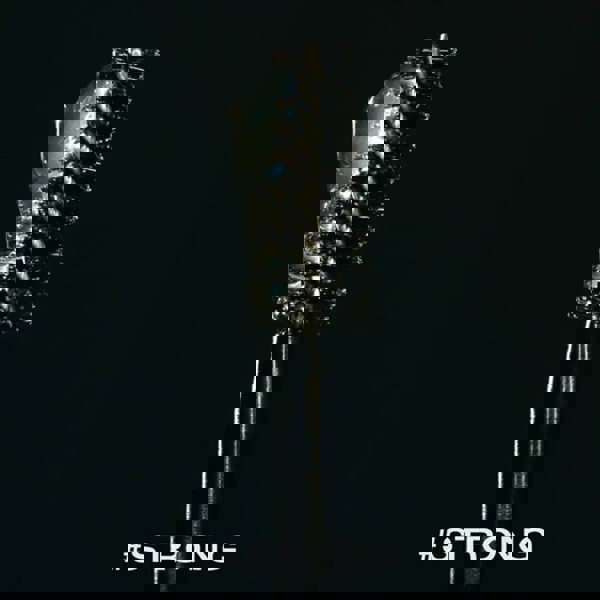 LAKA Wild Brow Shaper strong