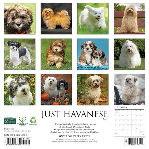 Just Havanese Calendar 2027, Wall Calendars, Month To View, Dogs, Gift