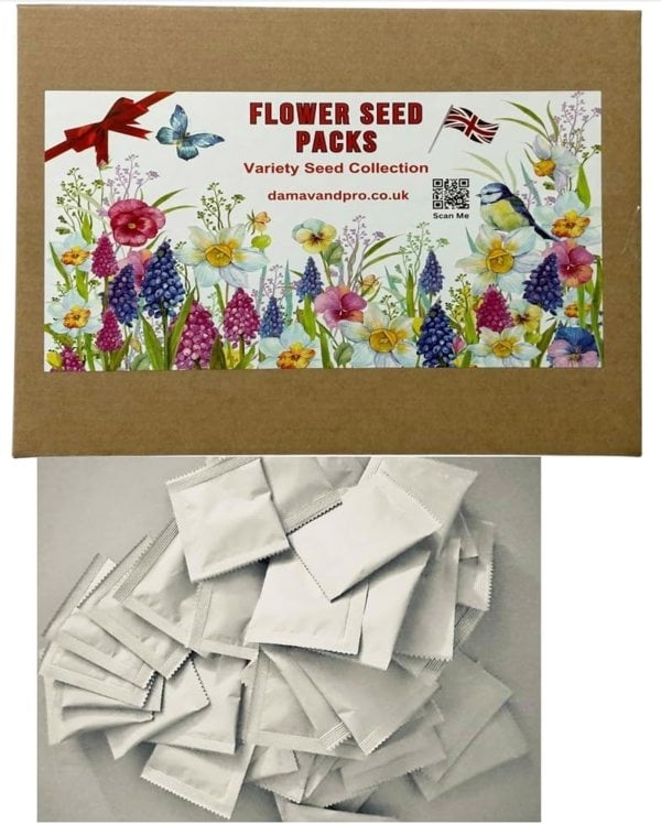 DamavandPro 24-Pack Wildflower Seeds Collection: 15,000+ Seeds for Bee & Butterfly Gardens (Indoor/Outdoor)