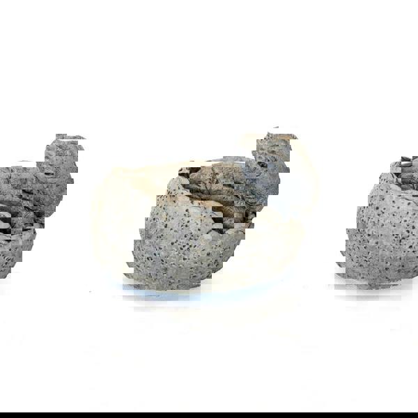 Small Brontosaurus Stone Cast Garden Sculpture Dinosaur Animal Statue