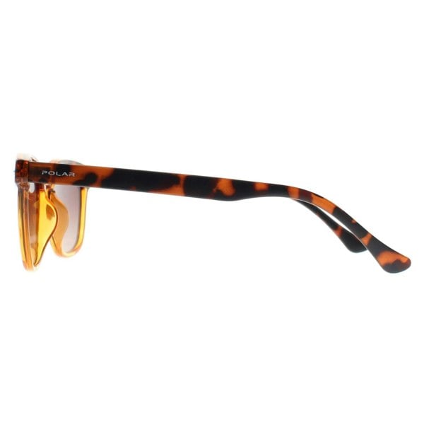 Polar Sunglasses 362 COL.431 Shiny Crystal Honey Havana Brown Polarized