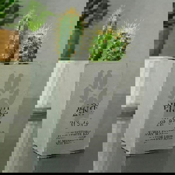 Personalised Memento Company Personalised Pet Memorial Concrete Plant Pot