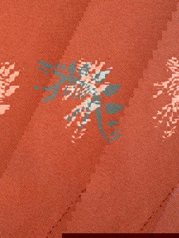 Kite Boys Organic Dino Discovery Sweatshirt