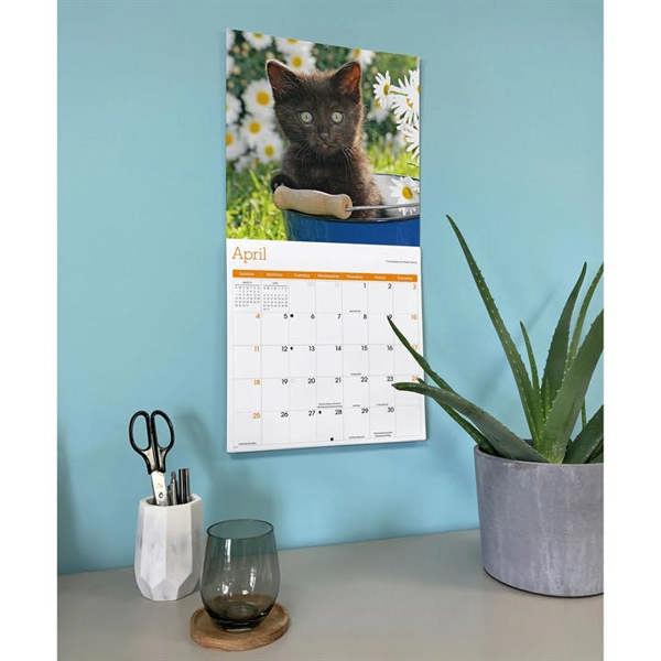 Black Kittens Calendar 2027, Wall Calendars, Month To View, Cats, Gift