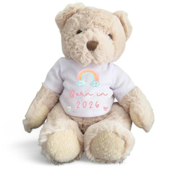 Personalised Luxury Teddy Bear | Born in 2026 Rainbow T-Shirt