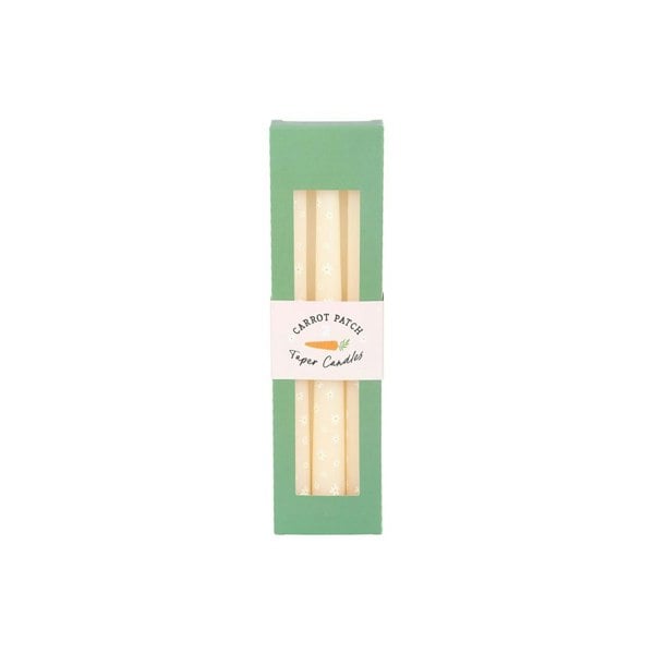 Serano Set of 3 Carrot Patch Daisy Taper Candles