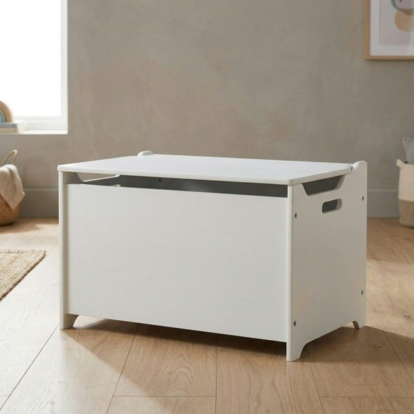 Garden Greatness Modern Children's Storage Toy Box