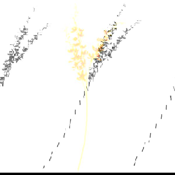 Hill Interiors Cymbidium Spray Artificial Flower - Orange - 