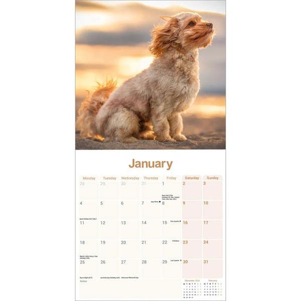 Cavapoo Calendar 2027, Wall Calendars, Month To View, Dogs, Gift