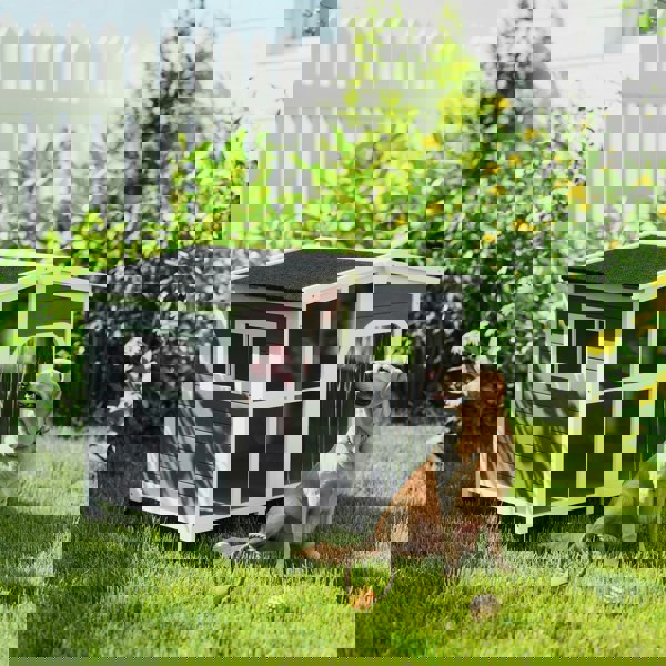 D02-141V02CG