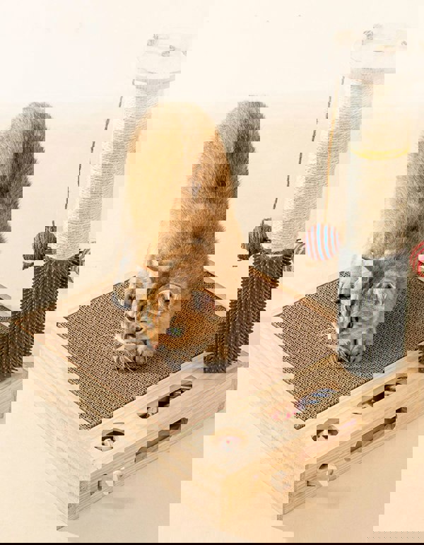 Bud's Toy, ScratchingPost, Cat Scratchers-Weilai concept-Weilai Concept