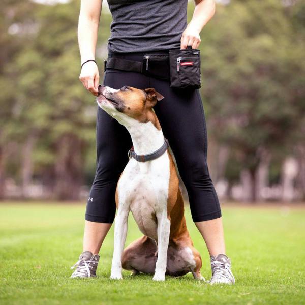 EzyDog SnakPak Pro Dog Training Treat Bag