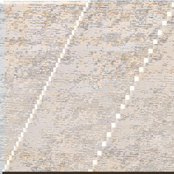 Asiatic Anders AN04 Distressed Rug