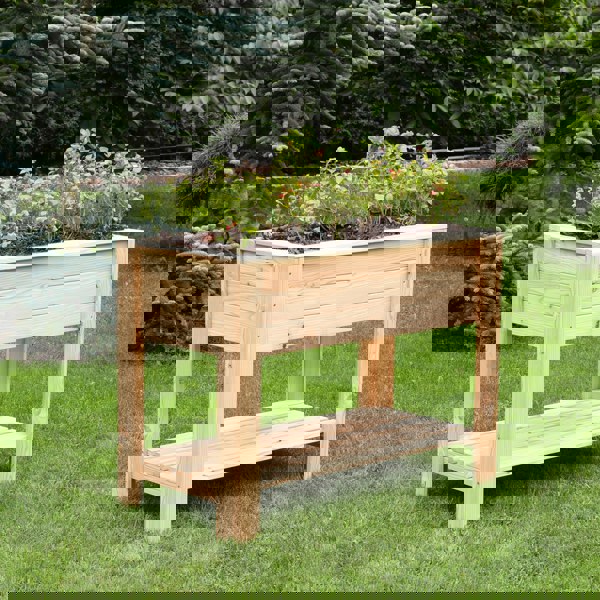 Shire Dan Larch Planter