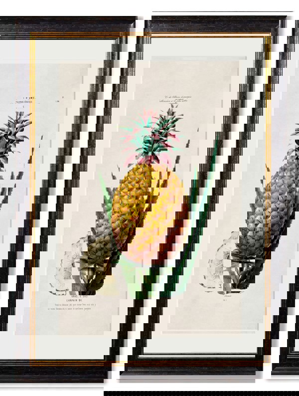 Exceptional Art c.1843 Pineapple Plant