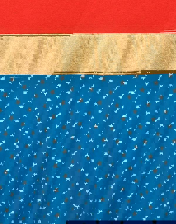 DC Comics Womens Red Logo Sleeveless Skater Dress