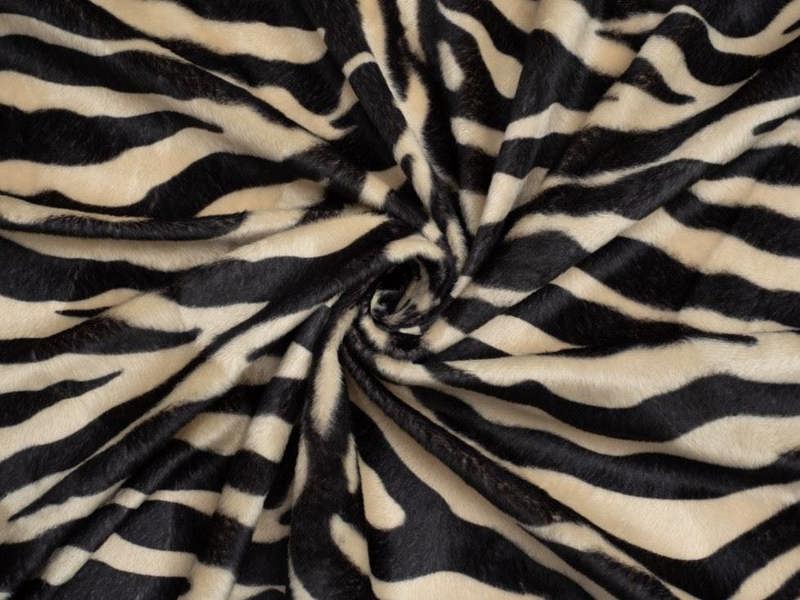 Camel Zebra