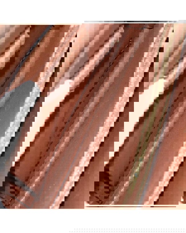 195222968.jpg