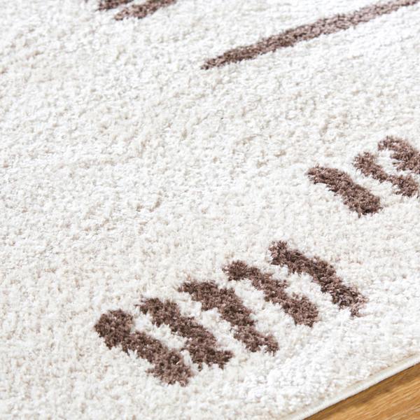 Livabliss Fossay Shag-Washable Beige Brown Modern High Pile Rug