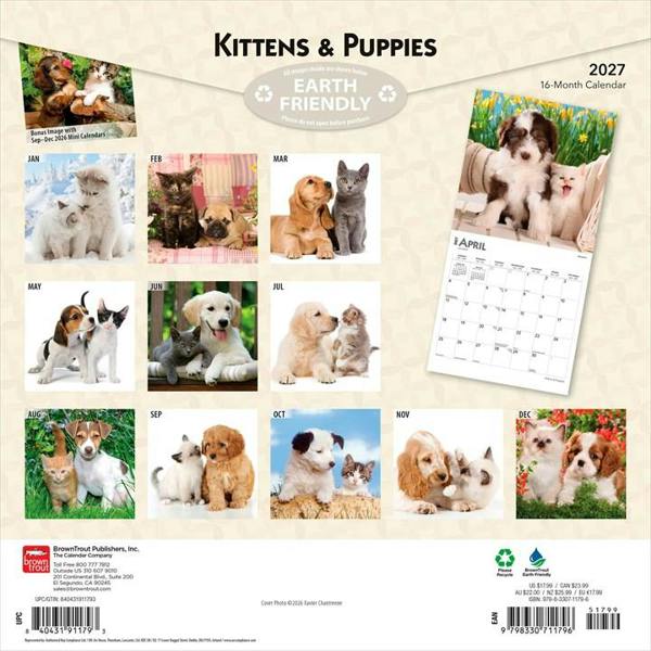 Kittens & Puppies Calendar 2027, Wall Calendars, Month To View, Cats, Gift