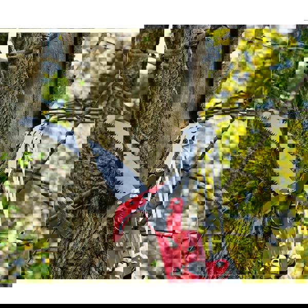 Gr8 Garden Manual Pole Saw 2in1 Extendable Tree Pruner 7.3-27 ft Fiberglass Pole Scissors