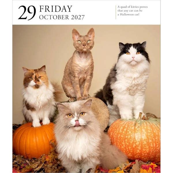 Cat Gallery Desk Calendar 2027, Desk Calendars, Day To View, Cats, Gift