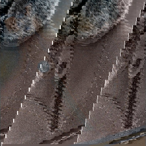 1660229915-55810200.jpg
