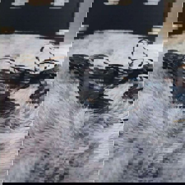 Genuine Grey Sheepskin Faux Fur Rug | Luxurious Home Decor