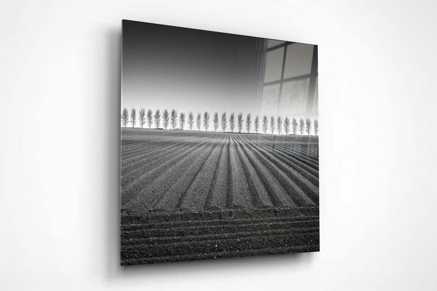 open edition wall print of farming landscape