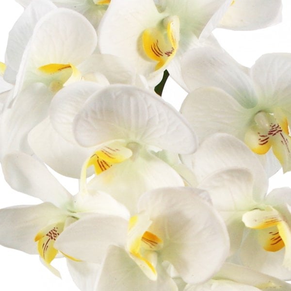 Leaf 52cm Artificial Orchid Large - White / Gold