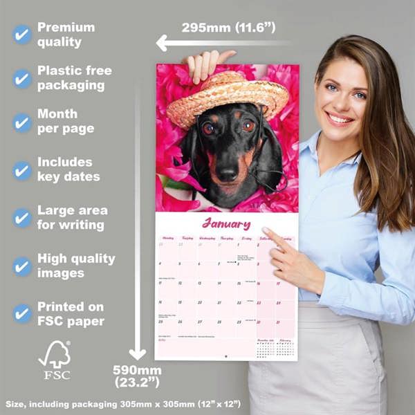Dachshund Calendar 2027, Wall Calendars, Month To View, Dogs, Gift