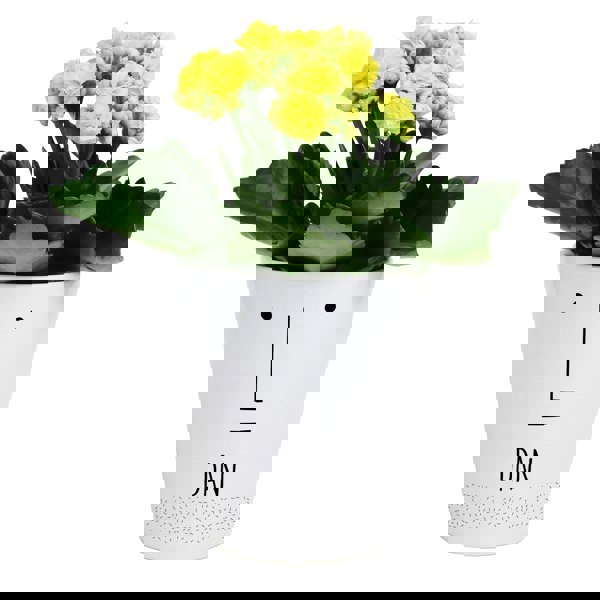 Personalised Memento Company Personalised 'Mr Face' Plant Pot