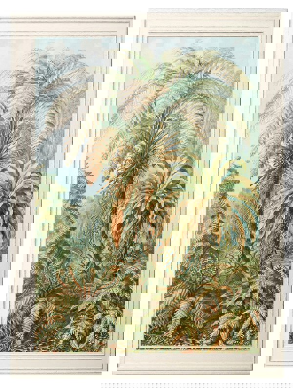 Exceptional Art C.1904 Study Of Ferns Print