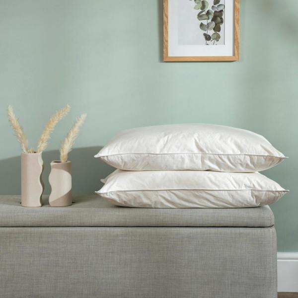 Soak&Sleep Goose Feather & Down Pillows
