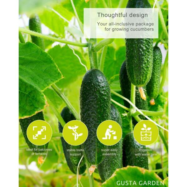 CURT CUCUMBER cucumber planter with water tank